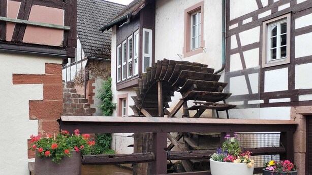 Ein traditionelles Fachwerkhäuschen mit Holzbau im Erdgeschoss und einer weißen Fassade. Auf Augenhöhe befinden sich Blumentöpfe mit roten Blüten.