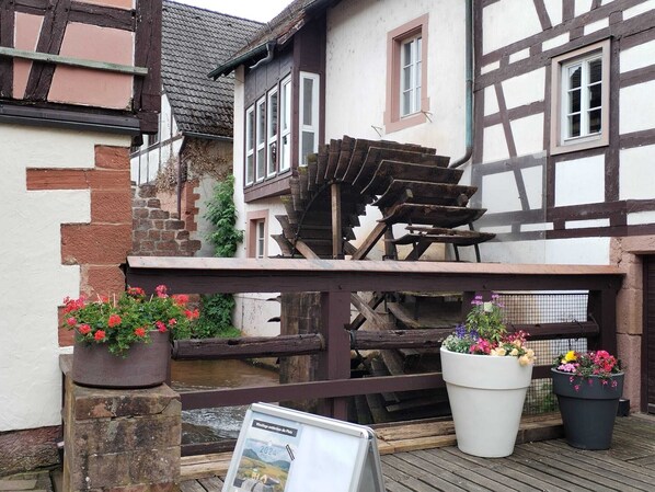 Terrein van de accommodatie