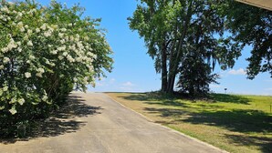 A concrete pathway leading to a covered area with a view of trees and a clear sky. - Private Waterfront Suite  (Lilly)