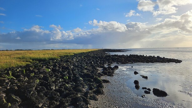 Un paysage côtier avec une rive rocheuse, un champ herbeux et un ciel dégagé.