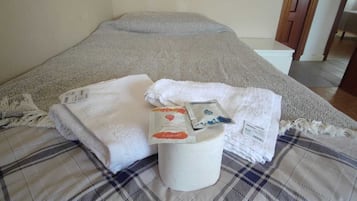 3 slaapkamers, een strijkplank/strijkijzer, wifi, beddengoed