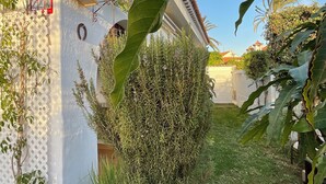 A residential property with a white exterior, a visible alarm sign, a bird feeder, and a lush garden with various plants.
