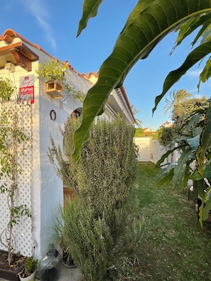 A residential property with a white exterior, a visible alarm sign, a bird feeder, and a lush garden with various plants.