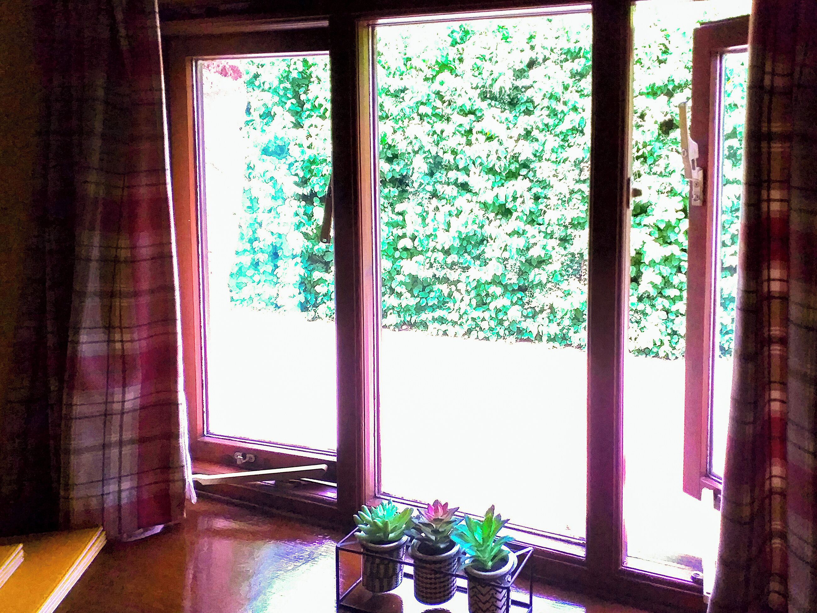A room with a window, curtains, and a small table with potted plants.