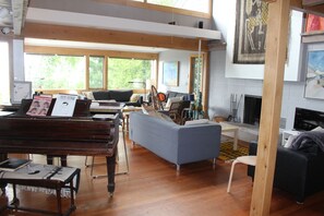 TV, fireplace, books