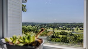 A view from a window overlooking a golf course with a potted plant on the windowsill. - Views of Osage Golf Course & Osage River, 3 Balconies, Game Room, Sleeps 9 (Kaiser)