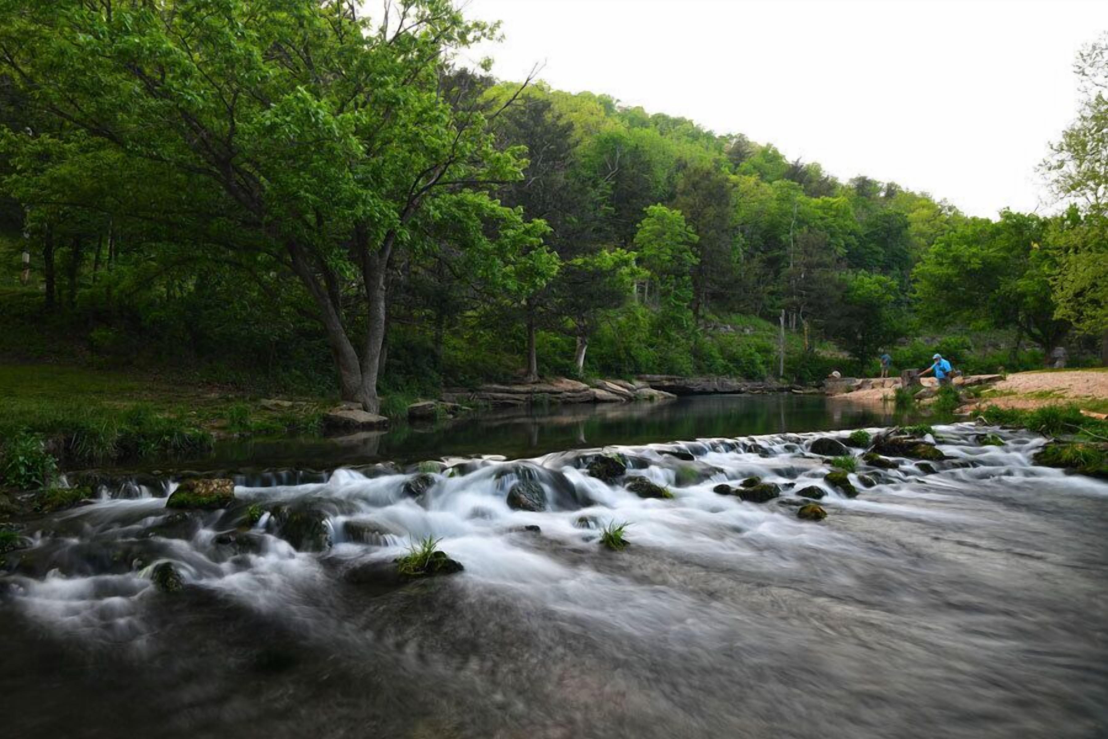 Un río serpentea por una zona boscosa con rocas y vegetación.