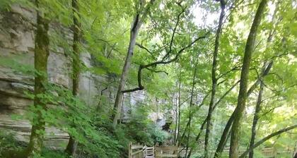 Roaring River State Park