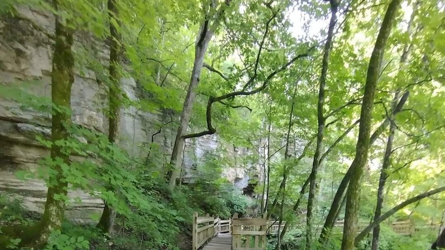 Roaring River State Park