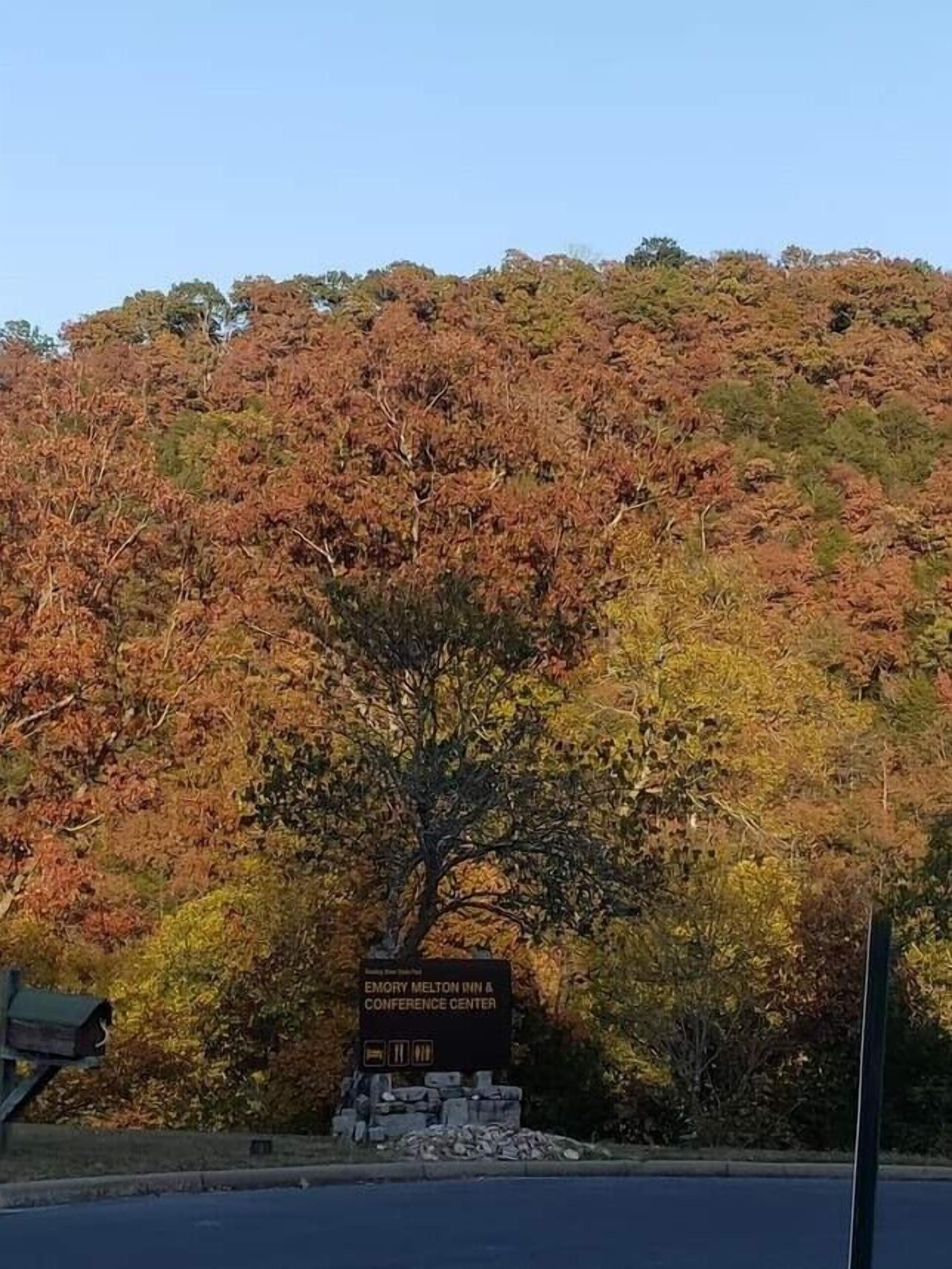 Indicador del Emory Melton Win & Conference Center amb un fons d'arbres de colors tardanes.