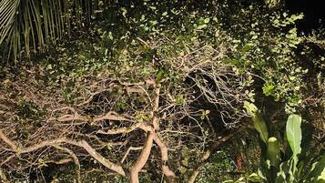 Comfort Suite, Lanai, Garden View | Living area