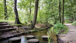 Metsäinen alue, jossa on kapea puro, kivestä tehdyt portaat ja puinen silta.