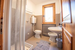 Shower, hair dryer, bidet, towels