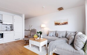 TV - 1 bedroom cozy apartment in Olpenitz (Olpenitz)
