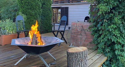 Vacation house next to the forest "Felinar Vechi"