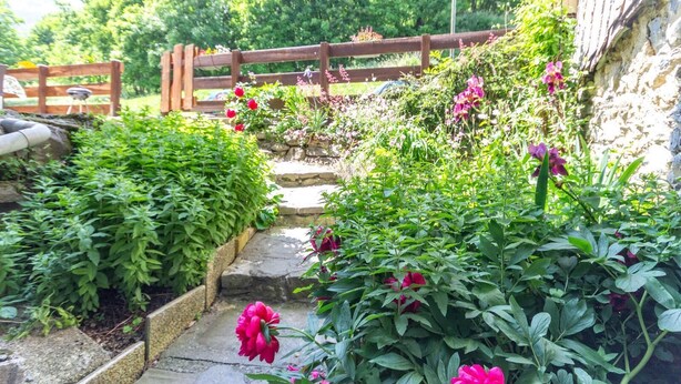 A garden with a wooden fence, stone steps, and various plants and flowers. - LE GENEPI - LES BELLEVILLE (LES BELLEVILLE)