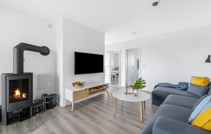 Fernseher, Kamin