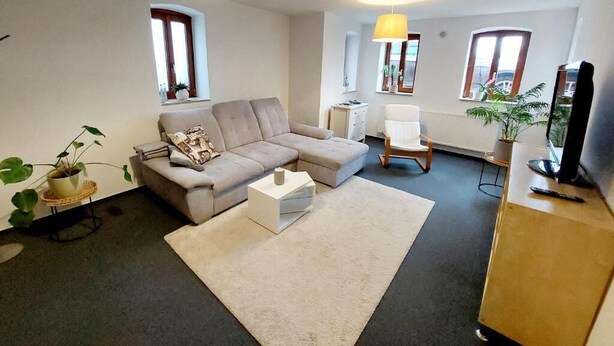 Ein Wohnzimmer mit einer Couch, einem Couchtisch, einem Sessel, einem Fernseher und einer Pflanze.