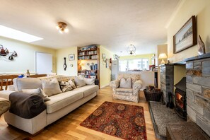 TV, fireplace, DVD player, books