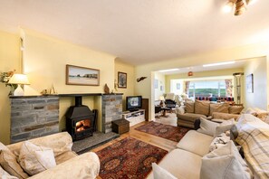 TV, fireplace, DVD player, books