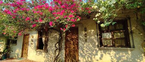A rustic building with a wooden door and window, surrounded by a garden with pink flowers.