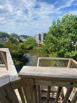 Property grounds - Lovely 2-bedroom condo in Virginia Beach with WiFi, AC - 5 minute walk to beach (Virginia Beach)