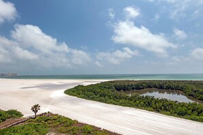 A beach with a clear sky, a sandy shoreline, and a forested area with a small pond.