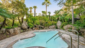 A swimming pool with a stone edge, surrounded by tropical vegetation and rocks.