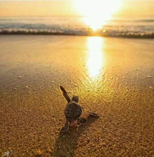 Rest house a few minutes from the beach and 15 minutes from Costa Esmeralda. 