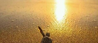 Rest house a few minutes from the beach and 15 minutes from Costa Esmeralda. 