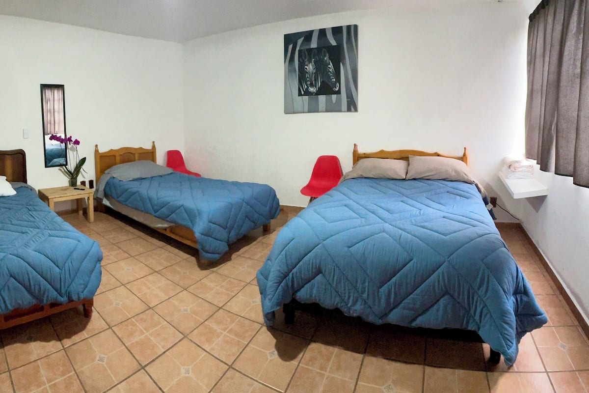 Basic Quadruple Room