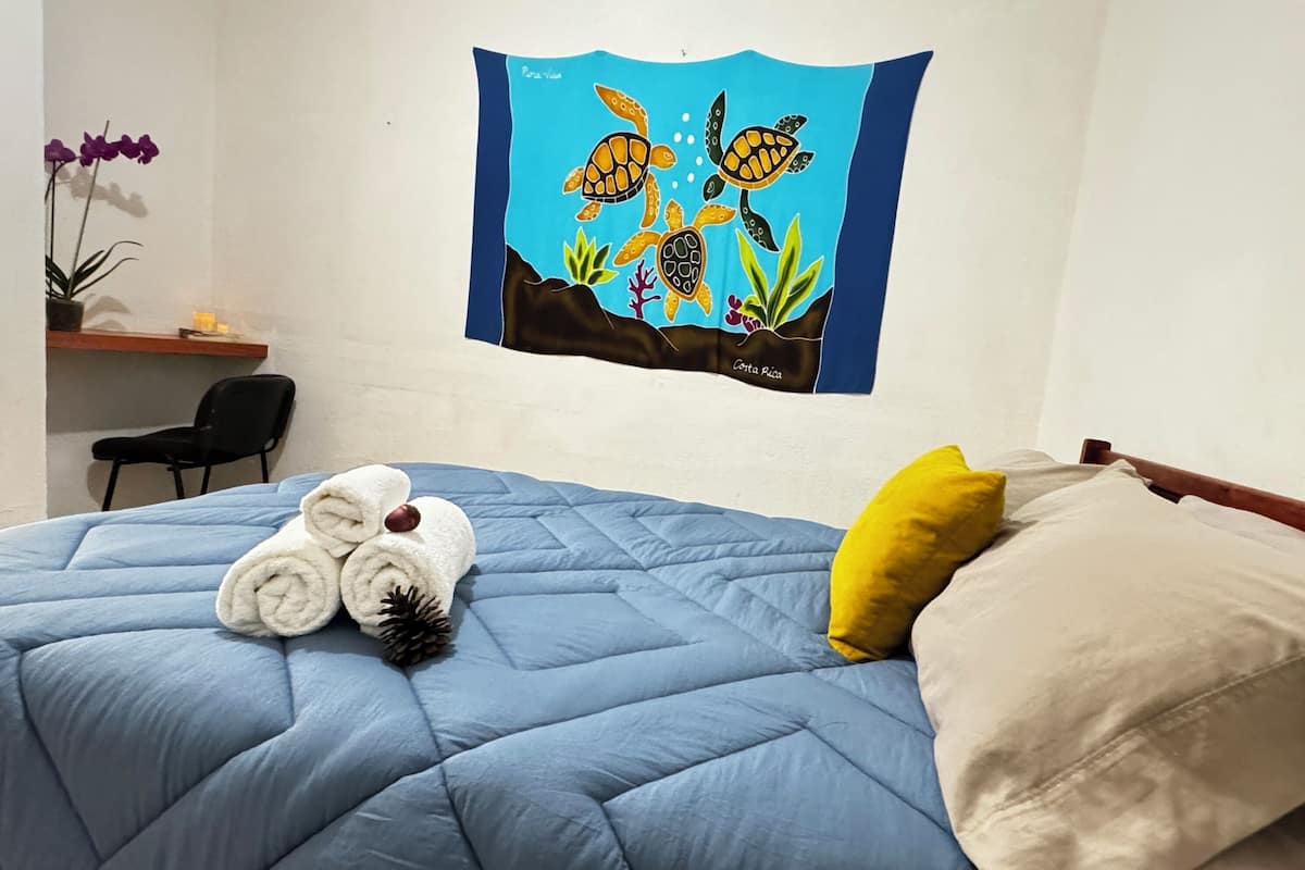 Basic Double Room