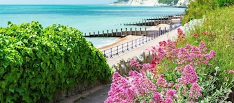 Seaphare Beach House by inspirestays-com - a cottage that sleeps 8 guests in 4 bedrooms