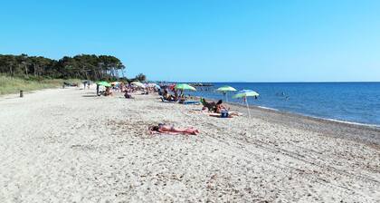 Chalet La Mazzanta by Interhome