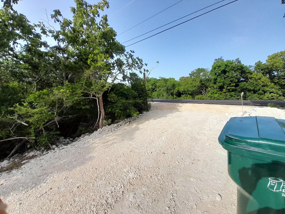 Imagen de perfil del propietario o de la propietaria