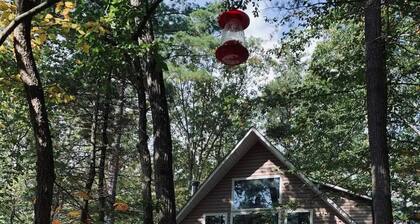 4 bedroom Basye, VA with nearby skiing, lake & mountain biking. Fully equipped