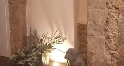 Apartment 'Appartamento Luxury - Torre' with Air Conditioning
