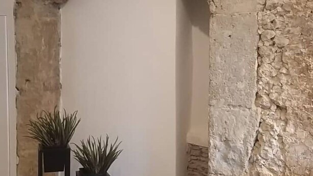 A stone archway, two potted plants, and a stone statue in a room. - Apartment 'Appartamento Luxury - Torre' with Air Conditioning (Terracina)