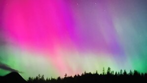 A night sky with the aurora borealis over a forested landscape. - Quiet corner on Burman (Gold River)