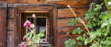 Details aan de buitenkant