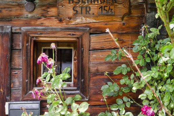 Detall de l'exterior