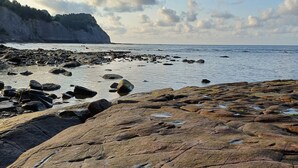 A rocky shoreline with large boulders and a cliff in the background.