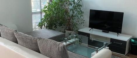 Flachbildfernseher