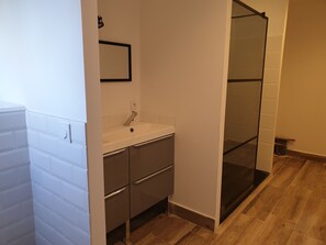 Shower, soap - Spacious, bright, air-conditioned T2 with large garden (Néfiach)