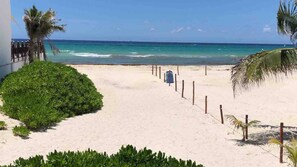 Beach - Playacar condo, 5mins to 5th & beach, own Cenote

 (Playa del Carmen)