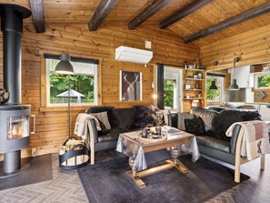 Télévision, cheminée