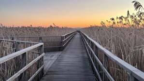 Une promenade en bois s’étendant au-dessus d’un champ d’herbes hautes, avec un coucher de soleil en arrière-plan.