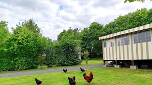 A grassy area with a small building and a road in the background. - Mobile home near the Puy du Fou ! (Maulevrier)