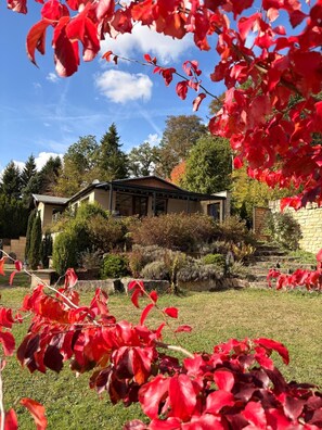 A house with a covered porch, surrounded by a well-maintained garden and trees.