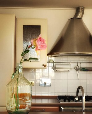Private kitchen - Apartment near St. Peter's with panoramic terrace, kitchen and large room. (Roma)